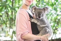 insta australie road trip queensland blog travel voyage - copyright paulinefashionblog.com_-2