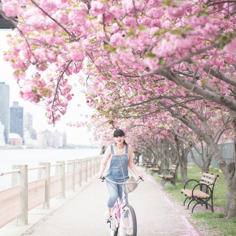 tods gommino dotsoflife bleecker blues pink bike cherry blossom - copyright paulinefashionblog.com_-9