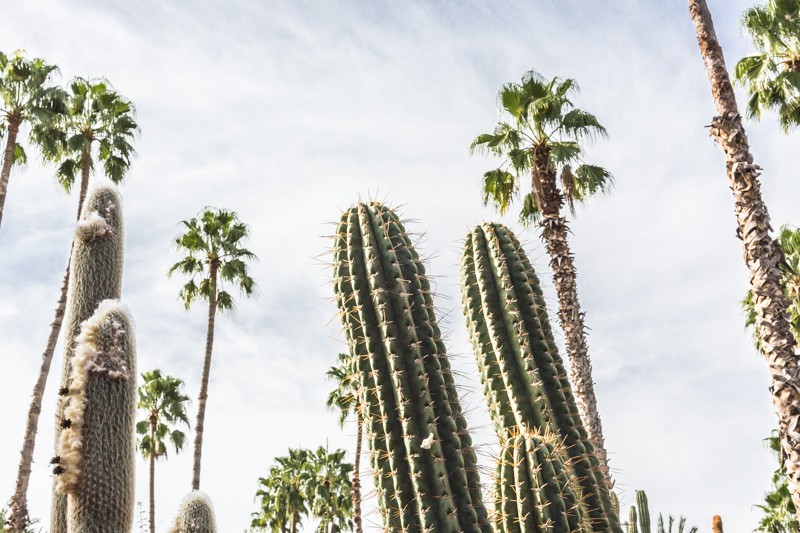 beacomber hotel royal palm marrakech - photo credit paulinefashionblog.com-19